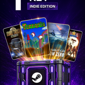 1 Random Steam key - INDIE - Steam Key GLOBAL