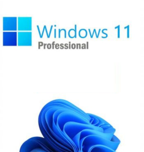 Microsoft Windows 11 Pro Key GLOBAL